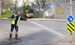 İstanbul Maltepe'de bahar temizliği hız kesmiyor