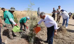 Kayseri Büyükşehir'den kente 'yeşil' atılım