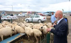Kayseri Kocasinan'dan Türkiye'ye örnek 'kurban' ihalesi