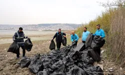 Kocaeli'de ekipler 50 torba atığı doğadan uzaklaştırdı