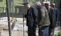 Mersin Büyükşehir, emeklileri doğayla buluşturuyor