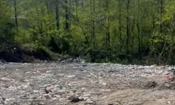 Rize'de vahşi depolamaya milyonluk ceza! Çevre'den suç duyurusu