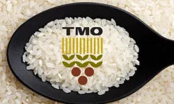 TMO: Tüm pirinçler yerli üreticiden