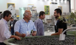 Zeytinin zirvesi İzmir'de kuruluyor