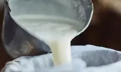 Çiğ süt üretimi 2025'te geriledi! Manda ve keçi sütü sert düştü!
