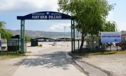 Eskişehir'de Hayvan Pazarı Kurban Bayramı için hazırlanıyor