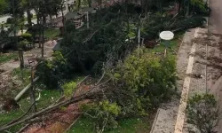 Gaziantep'e 50 milyon TL aktarıldı