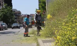 İstanbul Maltepe'de çevre düzenleme çalışmaları sürüyor