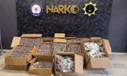 İstanbul'da 560 bin sentetik hap ele geçirildi