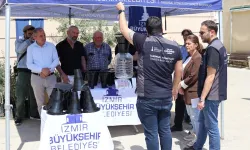 İzmir'de kahverengi kokarca böceğine karşı tuzak