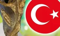 Dünya Kupası’na katılacak takımlar ve gruplar belli oldu!