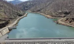 Ordu'da gölet ve barajlarda su kapasitesi arttı