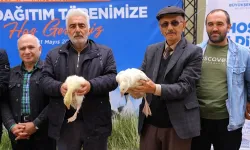 Samsun Büyükşehir'den üreticiye kaz desteği