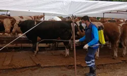 Trabzon'da kurban alanlarında hijyen seferberliği