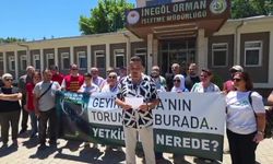 İnegöl'de DOĞADER'den kızıl geyik ihalesine tepki büyüyor