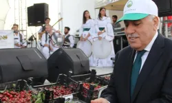 Mardin Yeşilli'de festival coşkusu başlıyor!