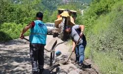Ordu'da 250 haneye kesintisiz içme suyu sağlandı