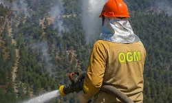 Orhaneli'deki orman yangını kontrol altına alındı