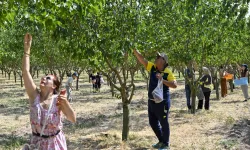Başkentliler ATA Çiftliği'nde hasat coşkusunu yaşadı