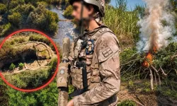 Diyarbakır'da uyuşturucu operasyonu... 387 bin 882 kök kenevir ve skunk ele geçirildi