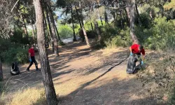 Güzelyalı Çamlıbel'de orman yangını riskine karşı temizlik çalışması