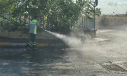 İstanbul Bakırköy'de temizlik seferberliği