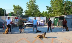 İstanbul Maltepe'de patili kahramanlar afetlere hazırlanıyor