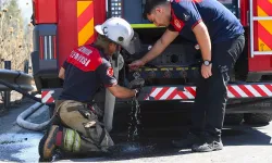 İzmir İtfaiyesi bukalemunu hayata döndürdü