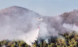 Muğla Milas'taki yangın büyük ölçüde kontrol altında