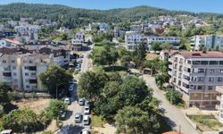Bursa Nilüfer’de Çalı Mehmetçik Parkı açıldı