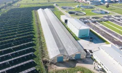 Türkiye'de öncü proje: Arıtma çamuru enerjiye ve toprak düzenleyiciye dönüşecek