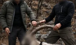 6 yıl önceki kaçak avın failleri tespit edildi!