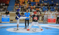 Ankara Keçiören'de Türk ata sporua ev sahipliği yaptı