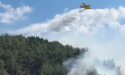 Balıkesir ve Bilecik'te yangınlar kontrol altında
