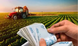 Çiftçilere 67 milyon TL'lik tarımsal destek hesaplarda