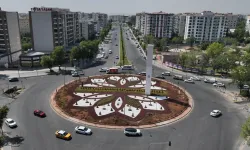 Diyarbakır Fırat Bulvarındaki kavşak kurakçıl peyzajla yenilendi