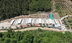 Gemlik'te barınak ziyaretçilere hep açık