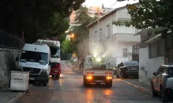 İstanbul Maltepe'de ilaçlama çalışmaları sürüyor