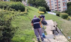 İstanbul Maltepe'de toplu temizlik seferberliği