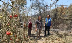 Muğla Seydikemer'de yangın sonrası seferberlik