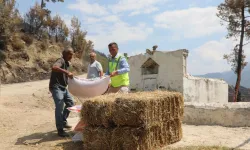 Muğla Seydikemer'de yaralar hızla sarılıyor