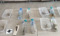 Nemrut'ta biyokaçakçılık operasyonu! 2 kişiye 1,4 milyon TL ceza