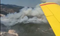 Sındırgı'da orman yangını! 6 uçak ve 6 helikopter havada