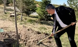 AK Partili Şaban Çopurluoğlu Kayseri Talas'ta fidan dikti