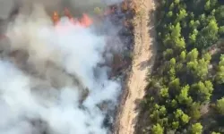 Antalya Serik'te orman yangını!