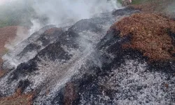 Düzce Akçakoca'da fındık bahçesinde yangın