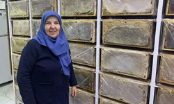 Ağrı'da arılar kışa hazırlanıyor... Arıcı Suzan Sürmeli anlattı