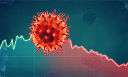 Ebola virüsü nedir, Türkiye'de ebola virüsü riski var mı?