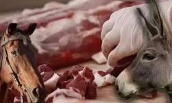 Bursa'nın en sevilen mekanında at-eşek eti skandalı!