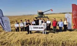 Edirne Keşan'da gençlerle çeltik hasadı deneyimi